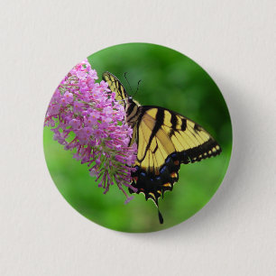 Den Swallowtail fjärilen knäppas 3 Knapp