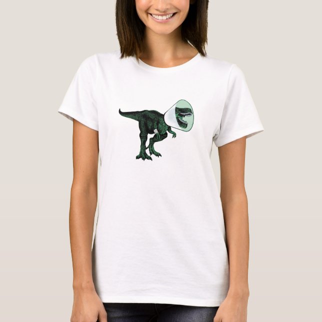 Den T-Rex kotten av kvinna för skam 2 T Shirt (Framsida)