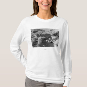 Den Taku glaciären nära Juneau, Alaska T Shirt