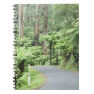 Den Tarra Bulga nationalparken, Strzelecki spänne Anteckningsbok Med Spiral