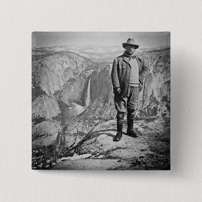 Den Teddy Roosevelt glaciären pekar den Yosemite Knapp (Framsida)