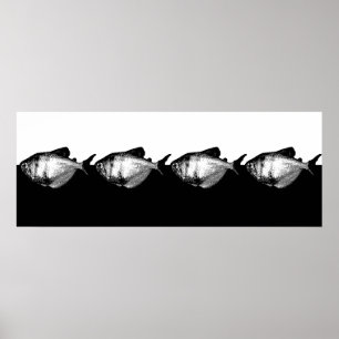Den Tetra svart kjolen skolar Poster