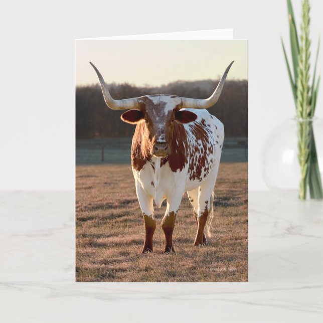 Den Texas longhornen noterar kortet Kort (Framsida)