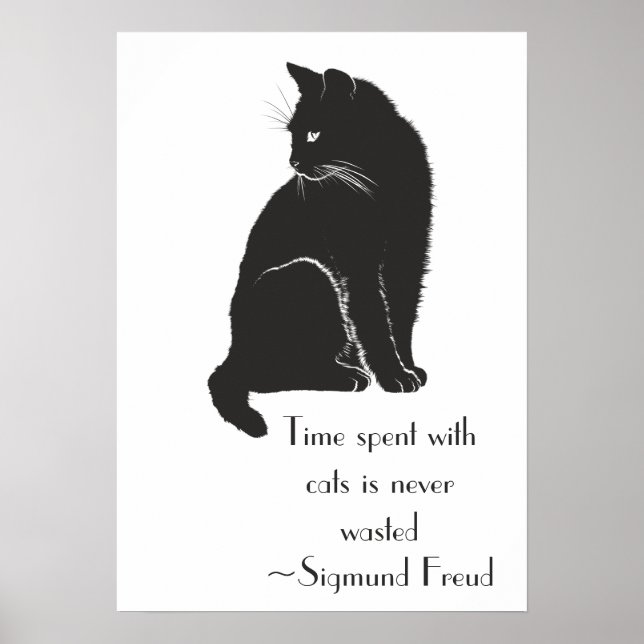 Den tid som tillbringas med katter Slösas aldrig i Poster (Framsidan)