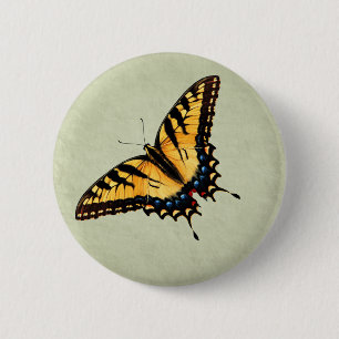 Den tigerSwallowtail fjärilen knäppas Knapp