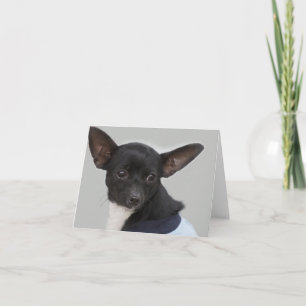 Den tomma Chihuahuahunden noterar kortet Kort