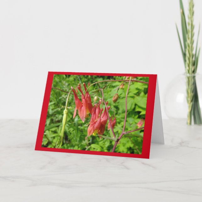 Den tomma Columbine blomman noterar kortet Kort (Framsida)