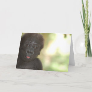 Den tomma gorillababyen noterar kortet kort