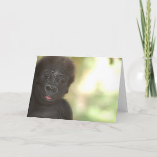 Den tomma gorillababyen noterar kortet kort