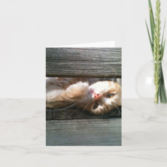 den tomma katten noterar kortet kort (Framsida)