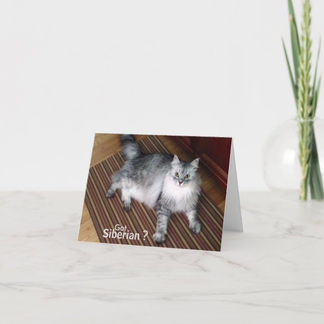 Den tomma Siberian katten noterar kortet Kort (Framsida)