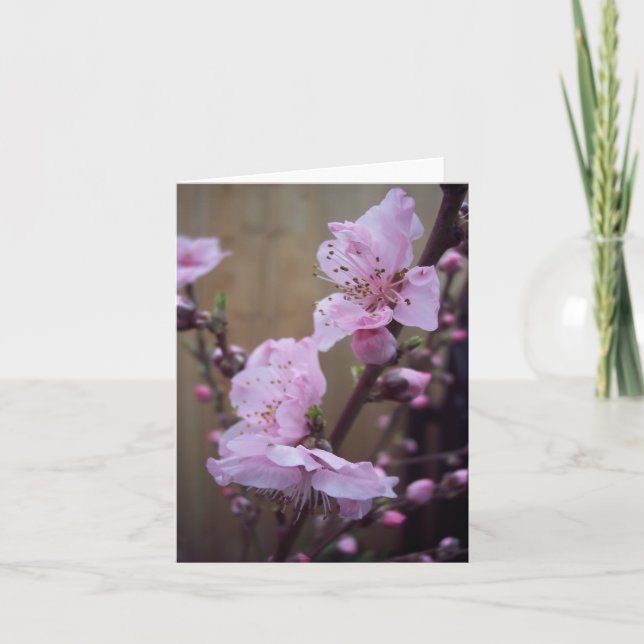 Den tomma vårblommar noterar kortet kort (Framsida)