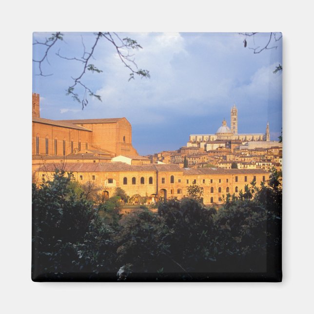 Den toskanska byn Sienna, Italien. Magnet (Framsidan)