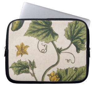 Den trädgårds- gurkan, pläterar 4 från "ett laptop sleeve