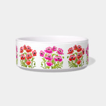 Den trädgårds- vallmon blommar kattbunken