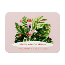 Den tropiska julen, modern botaniska Flamingo i ha