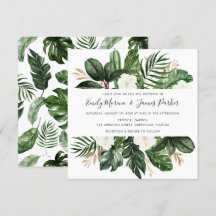 Den tropiska moderna Blommigten Handflatan Cactus 