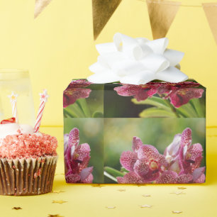 Den tropiska Vanda orchiden samla i en klunga Presentpapper