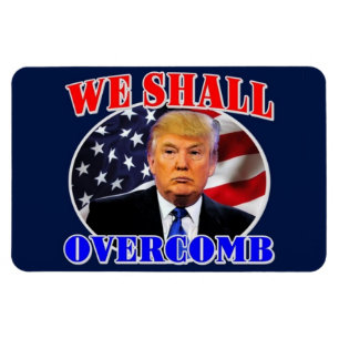 Den trumfmagneten 2016 magnet
