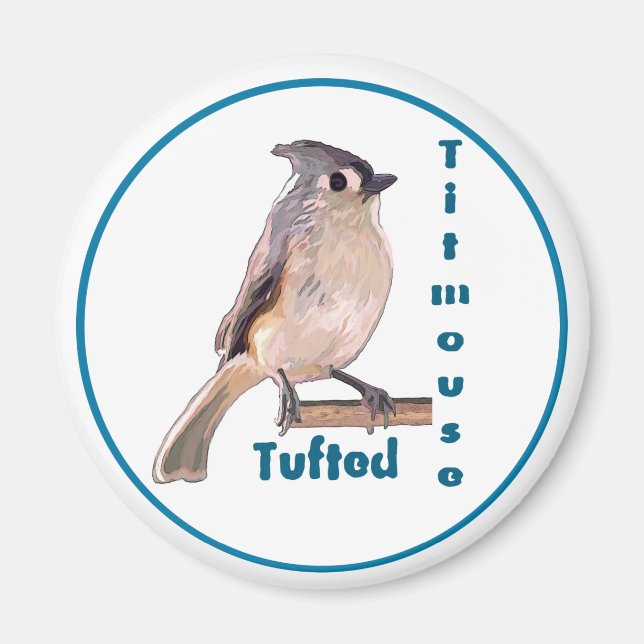 Den tuftade Titmus Magnet (Framsidan)