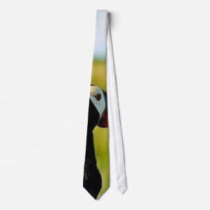 Den Tufted puffinen räcker in Slips