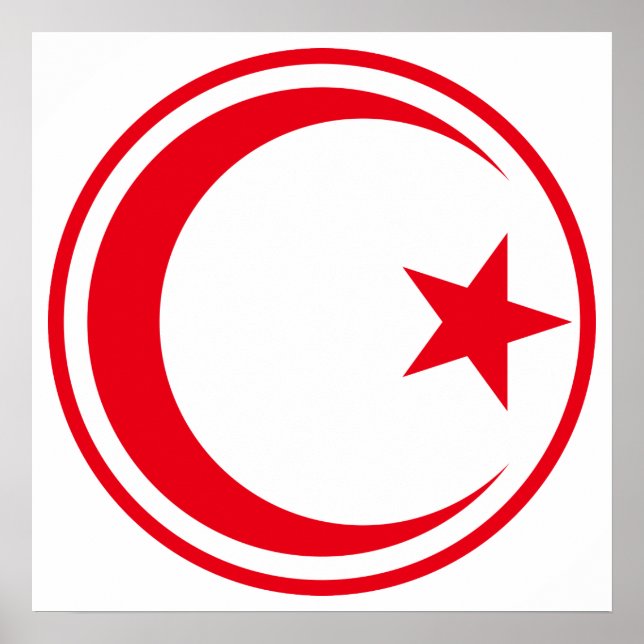 Den tunisiska Luft-styrkan Roundel Poster (Framsidan)