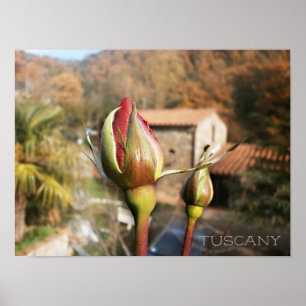 Den Tuscan hösten steg. Tuscany. Poster
