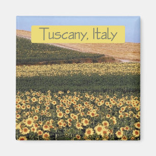 Den Tuscany italien reser magneten för Magnet