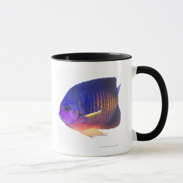 Den two-spined havsängeln mugg (Höger)