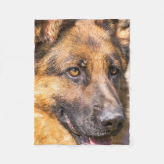 Den tyska herdefilten - den tyska shedderen! fleecefilt