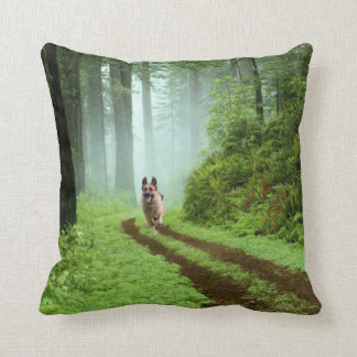 Den tyska herden dämpar kudde