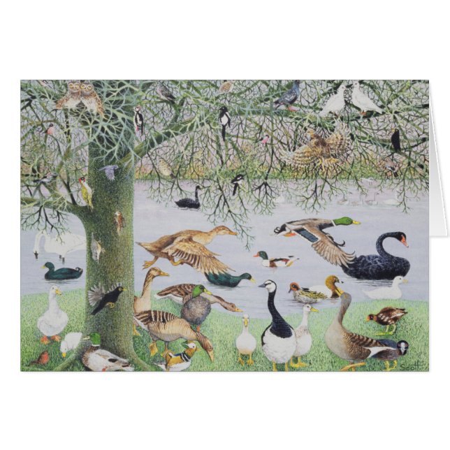 Den udda ankan hälsningskort (Framsidan Horizontal)