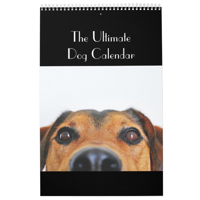 Den ultimat hundkalendern kalender (Omslag)