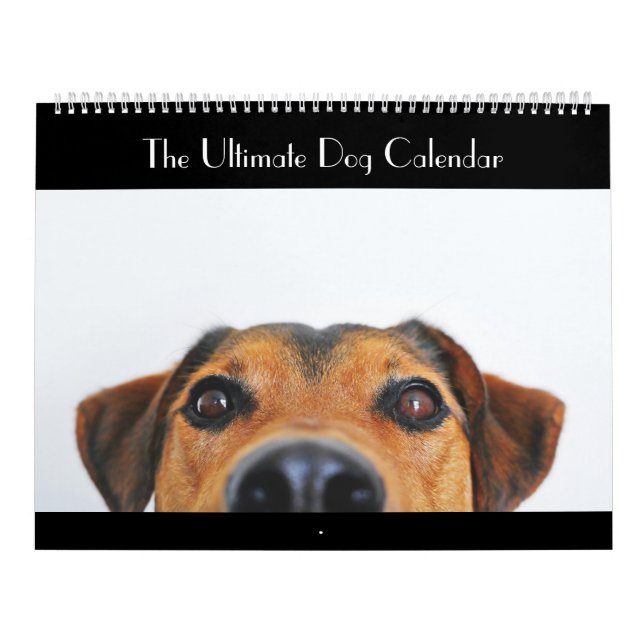 Den ultimat hundkalendern kalender (Omslag)
