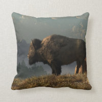Den underbara amerikanbisonen