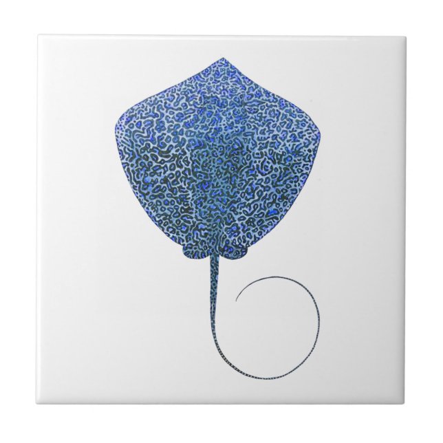 Den underbara avgrunden kakelplatta (Framsidan)