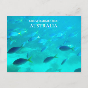 Den underbara barriärrevQueensland australier Vykort