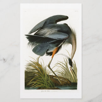 Den Underbara blå Heron John Audubon Birds of Amer