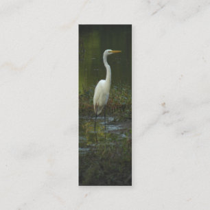 Den underbara Egretfotobokmärken profilerar korte Mini Visitkort