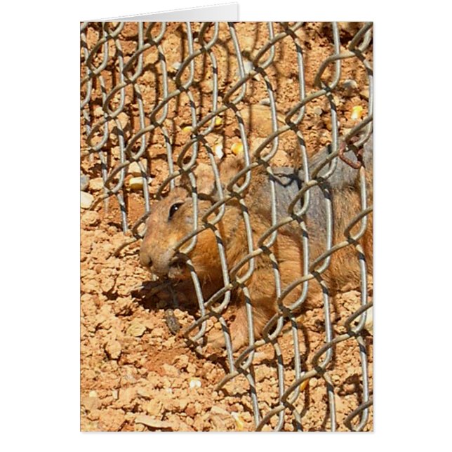 den underbara flykten hälsningskort (Framsidan)