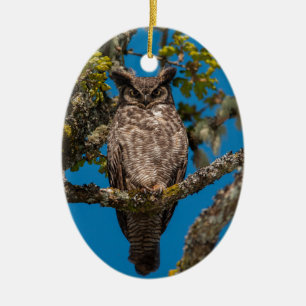 Den underbara Horned ugglan perched på en Garry Julgransprydnad Keramik
