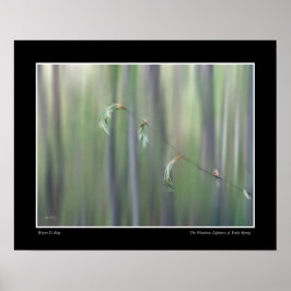 Den underbara lightnessen av den tidiga våren - poster