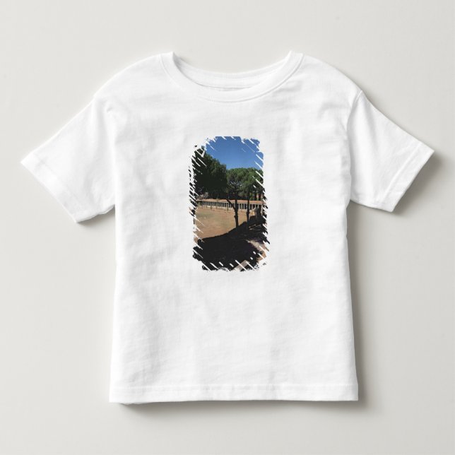 Den underbara palaestraen tee (Framsida)