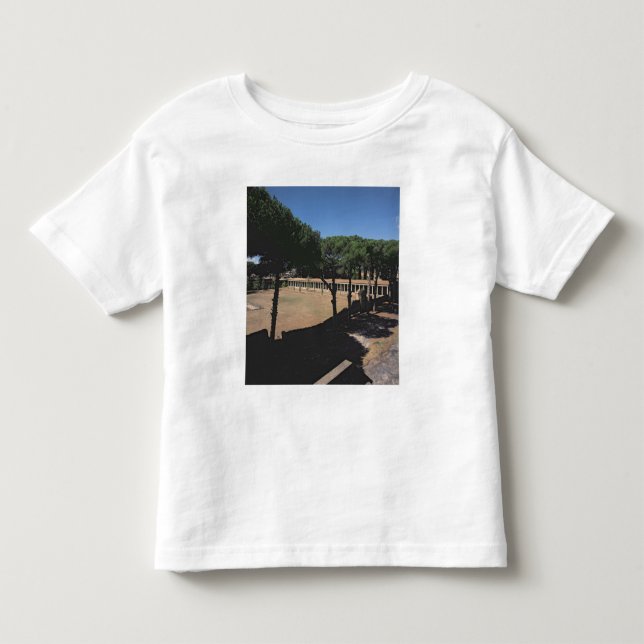 Den underbara palaestraen tee (Framsida)