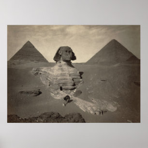 Den Underbara sfinxen av Giza, Egyptenen - Poster