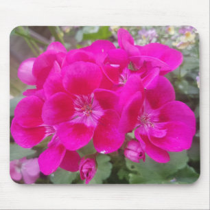 Den underbara trädgården blommar musmattan musmatta