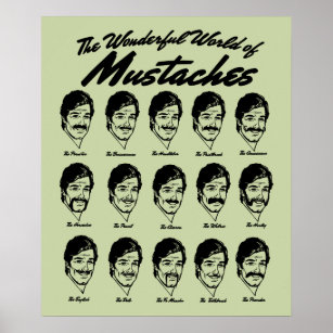 Den underbara värld av Mustacher Poster