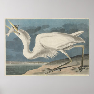 Den underbara vitheronen poster