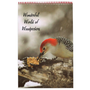 Den underbara World of Woodpeckers Two Page Calend Kalender