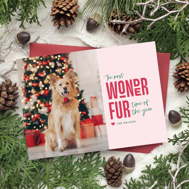 Den underbaraste julen för husdjur Julkort med fot (funny and sweet pet holiday card)